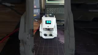 diy vector is loading #ankivector #shorts #google #arduino #robotics #robot #diy #fun  #cozmars