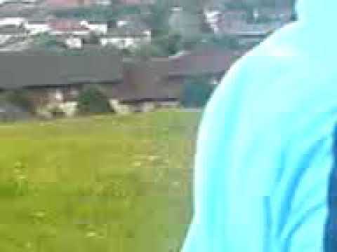 Jungo Derry Boy (Posso) Retreats After Being Beaten By Springburn Peg With Golfclubs