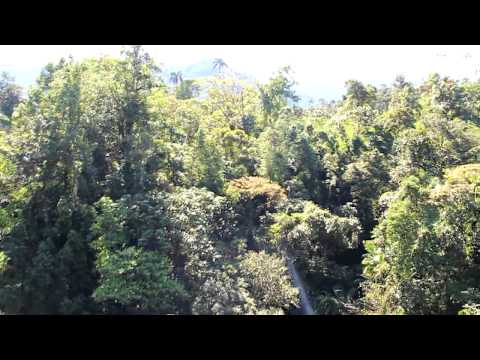 mindo zipline