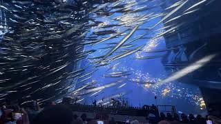 Kenny Chesney’s Epic Opening Night at the Las Vegas Sphere | Stunning Intro Visuals!