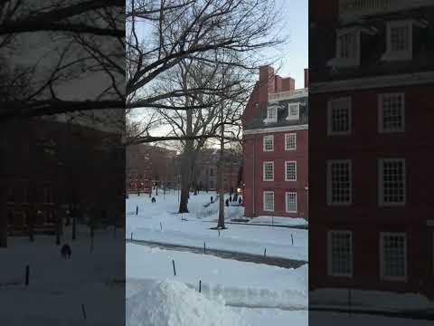 Harvard Campus Snowstorm | Evening Walk ASMR