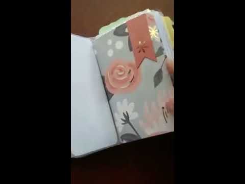 2017 Foxy fix flip through pocket sugar moochi!
