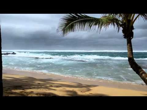 High surf on Maui