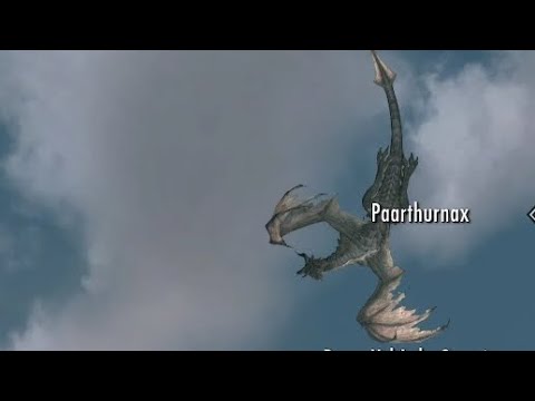 paarthunax has an awesome dance party in the sky