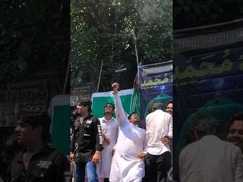 Eid E Milad Un Nabi Mubarak🇸🇦| 2024 | Juloos | Mumbai | #juloos #shorts #shortvideo #eidmiladunnabi