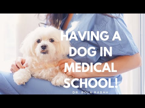 Get a Dog in Grad School?