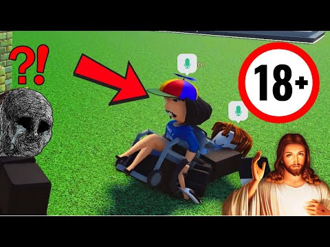 the roblox voice chat experience.