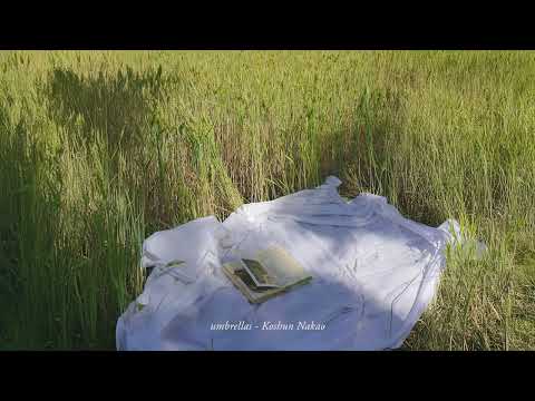 soft piano songs for reading a book outside