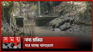 অকেজো স্লুইস গেট ব্যাহত সেচ প্রকল্প | Jhalokati News | Sluice Gate | Somoy TV