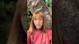 #sycamore #googlesycamore #planetree #asianplanetree #quantumcomputer #tunneling #wormholes