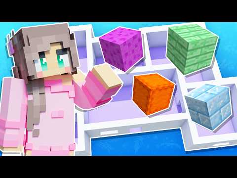 EVERY Block is RANDOM in my Minecraft House!