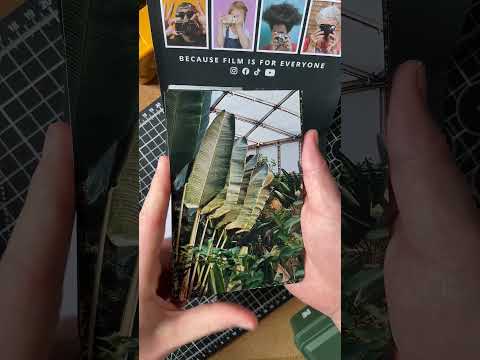 Why You Should Consider Getting Prints With Your Film Scans #filmphotography #35mmfilm