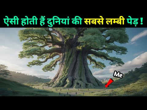धरती का सबसे ऊँचा पेड़! जानिए इसके कहानियां |The Tallest Tree on Earth! Know its Stories🤯