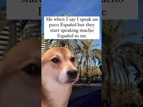 #shorts #reels #memes #spanish #trending #relatable #spanishteacher  #spanishbee