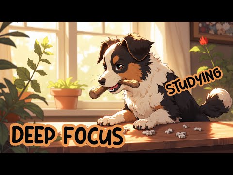 Pure Focus Learning | Smart Studying | No Noise Distractions ✨