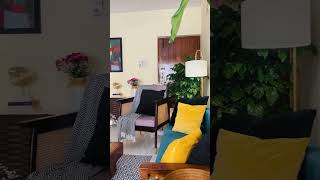 Living Room Love 💗 #livingroomdecor #sofadecor #sofacushion