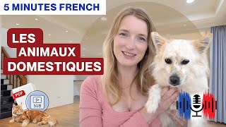 Les animaux domestiques - Pets | 5 Minutes Slow French with Subtitles