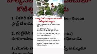 Business Success Story | Urban Kisan Success Story | Business Tips#business