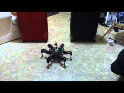 Project on Lynxmotion AH3-R robot