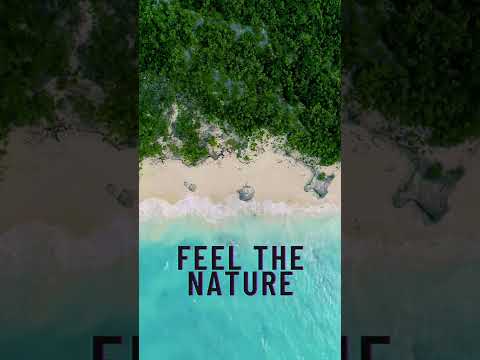 Feel The Nature