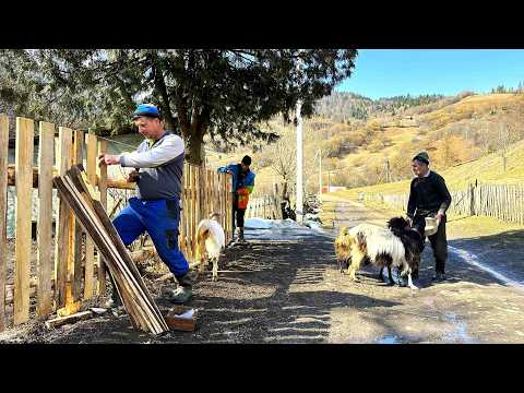 Family Rural Life in the Carpathians | Raft Building and Traditional Carpathian Dishes