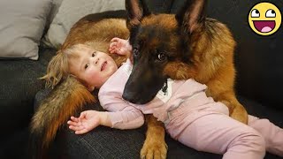 Animal Love Moments That Will Brighten Even Your Darkest Days ☀️💖