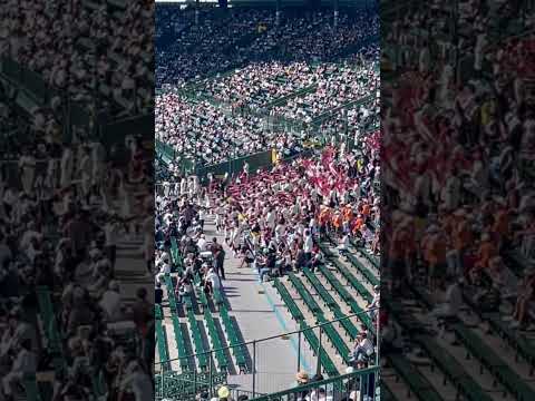 光星学院応援　日曜日よりの使者#高校野球 #甲子園 #アルプス #応援 #光星学院#日曜日よりの使者