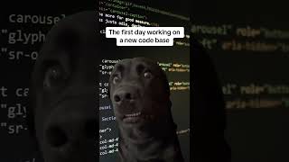 #Meme #MemeCut have a great Sunday! #techtok #developer #developerjokes