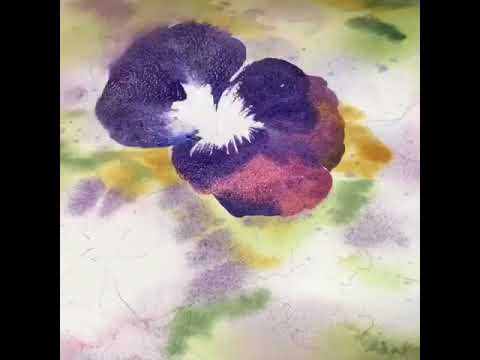 Watercolour Pansies