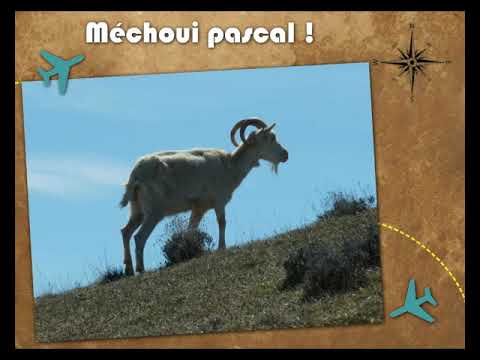 RANDO DE LARPILLE 17 04 2014