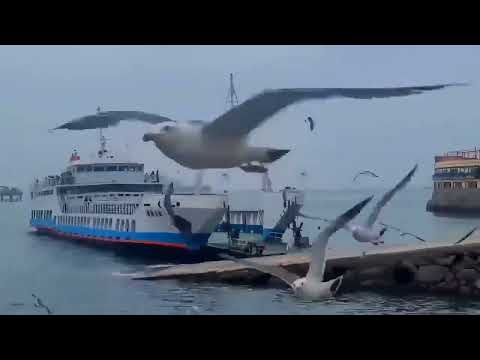 푸른바다와 함께하는 음악