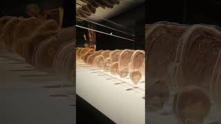 A real human body thats gone through plastination and sliced into sections