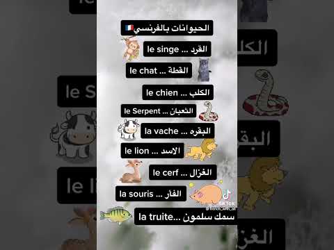 #التعليم الفرنسية للمبتدئين