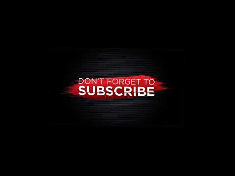 Dollar Bee Live Stream