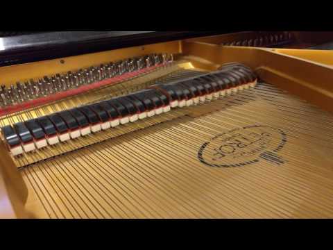 Struny a kladívka tančí piano blues