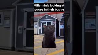 Why Can't Millennials Afford Homes | #millennials #housing #problem