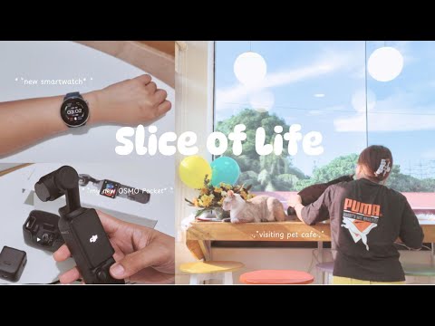 Slice of Life 11 ✿ Vlogging with DJI Osmo Pocket 3 | Unboxing my Smartwatch | Our Cats in Pet Cafe