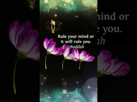 MindSet+ Mental Health Tip 11