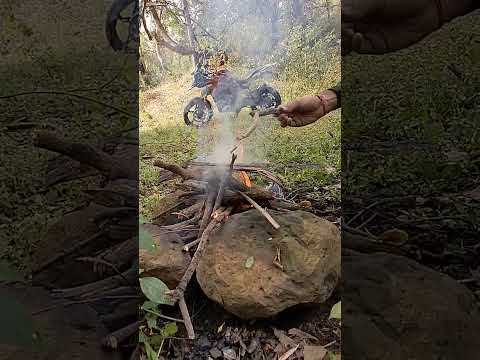 bike jungle