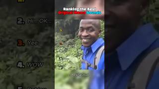 Ranking the Best Original Meme Sounds #002