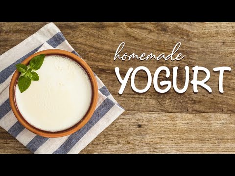 How to Make Yoghurt at Home | Homemade Yoghurt Recipe | Yogurt