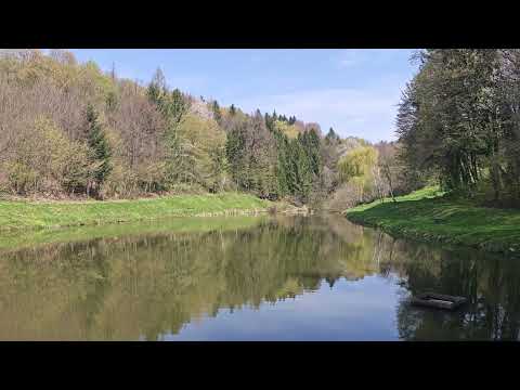 A Beautiful Day at the Pond