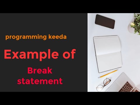 example of break statement || using break within the statement