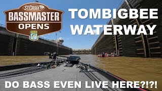 We SAVED our SEASON (maybe) - Tombigbee (Tenn-Tom) Waterway Bassmaster Open