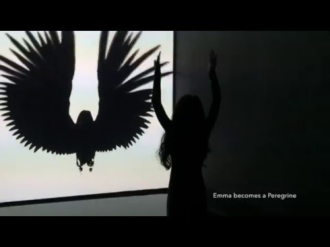 Peregrine Communications visits the Barbican: Digital Revolution Exhibition