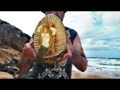 ''I felt in love with a mermaid'' #benartistic #mermaid #bluesea