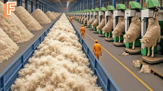 How Millions of Pounds of Sheep Wool Are Made Into Clothes Inside Mass Production Lines