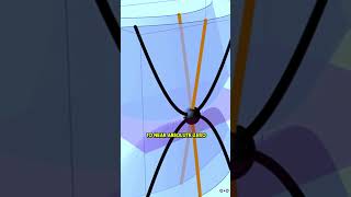 This New Particle Could Change Quantum Physics Forever!