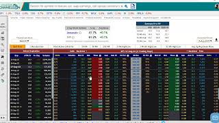 Option Chain Analysis: How To Track The Change In Option Prices