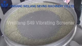 Sifting and screening cumin with WEILIANG vibrating sieve